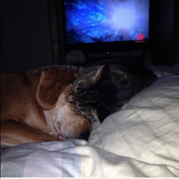 R.I.P. Junebug 😭 01/28/21 - Picture 7 of 16